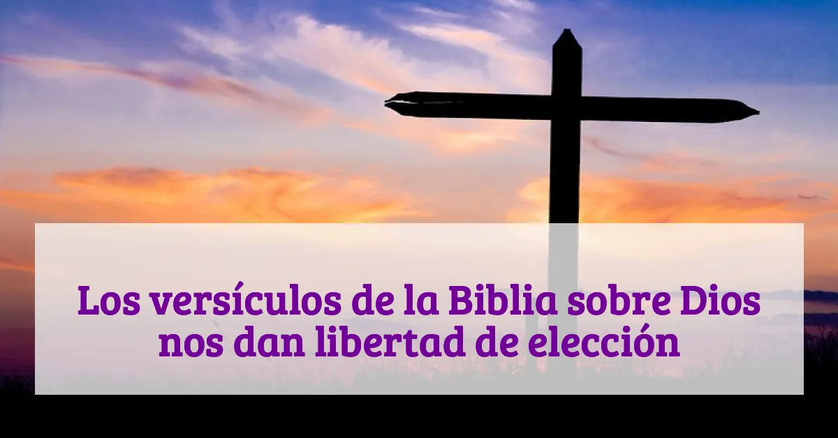 Los versículos de la Biblia sobre Dios nos dan libertad de elección