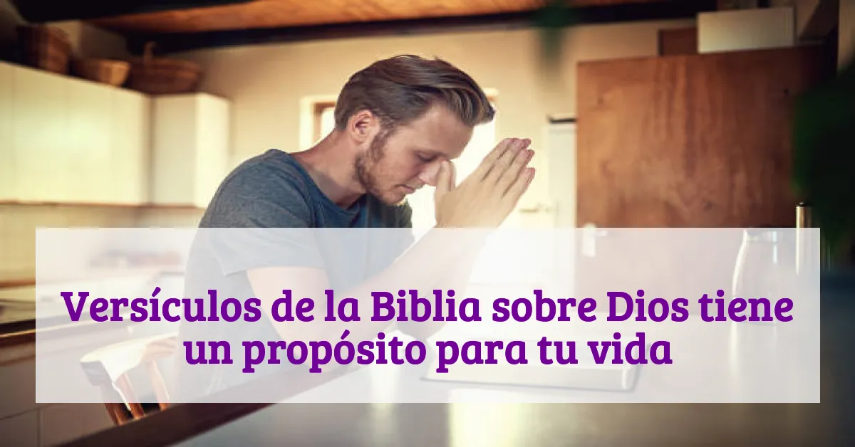 Versículos de la Biblia sobre Dios tiene un propósito para tu vida
