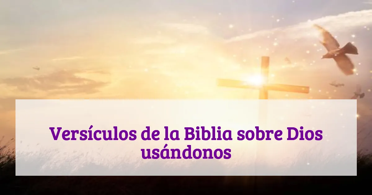 Versículos de la Biblia sobre Dios usándonos
