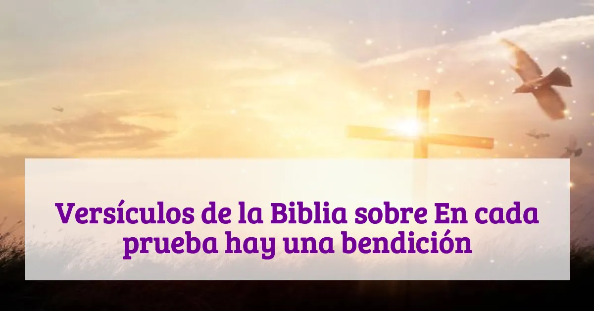 Versículos de la Biblia sobre En cada prueba hay una bendición