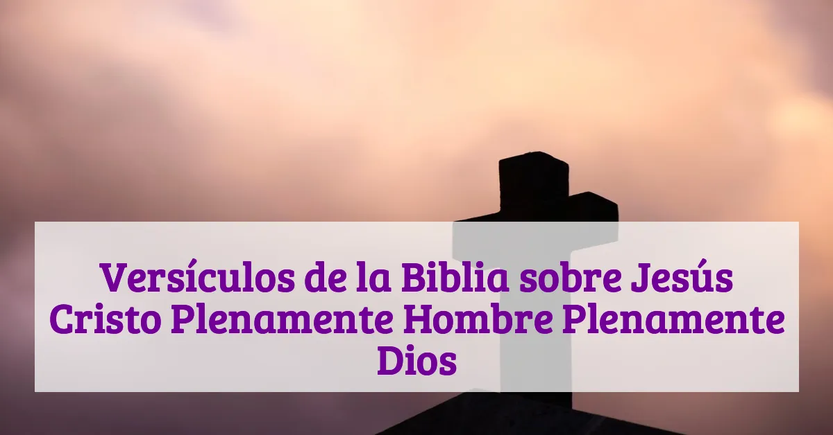 Versículos de la Biblia sobre Jesús Cristo Plenamente Hombre Plenamente Dios
