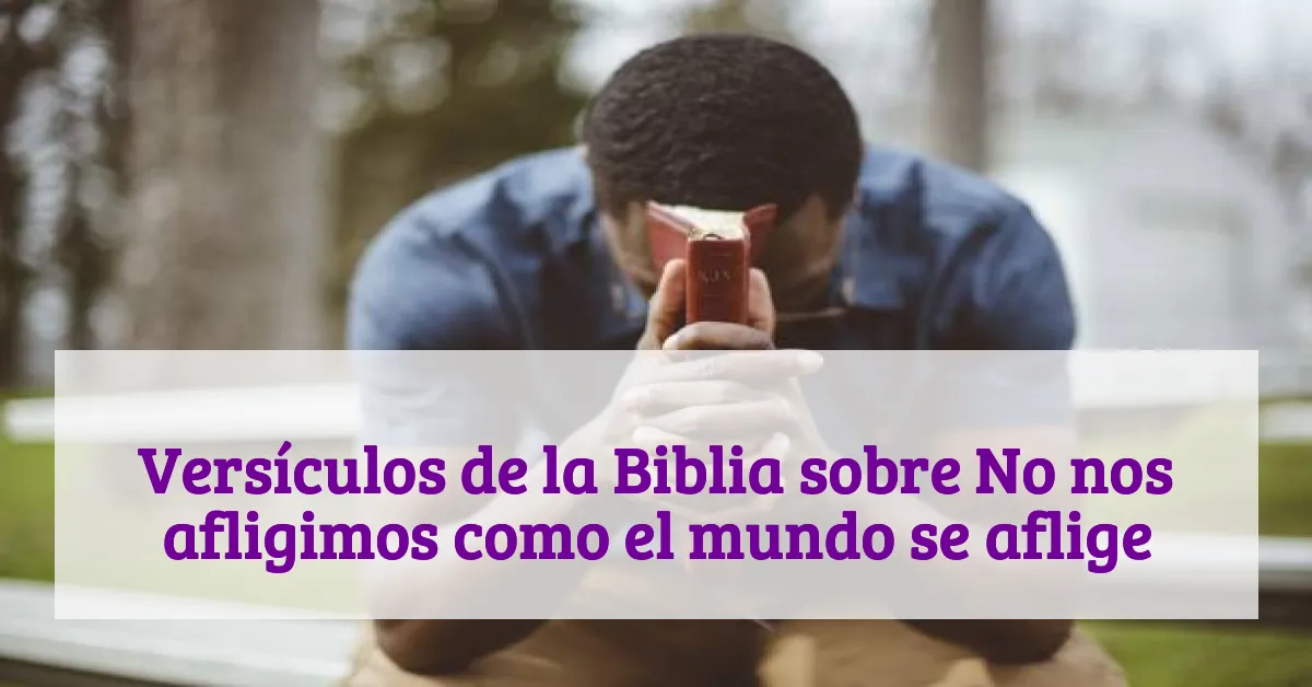 Versículos de la Biblia sobre No nos afligimos como el mundo se aflige