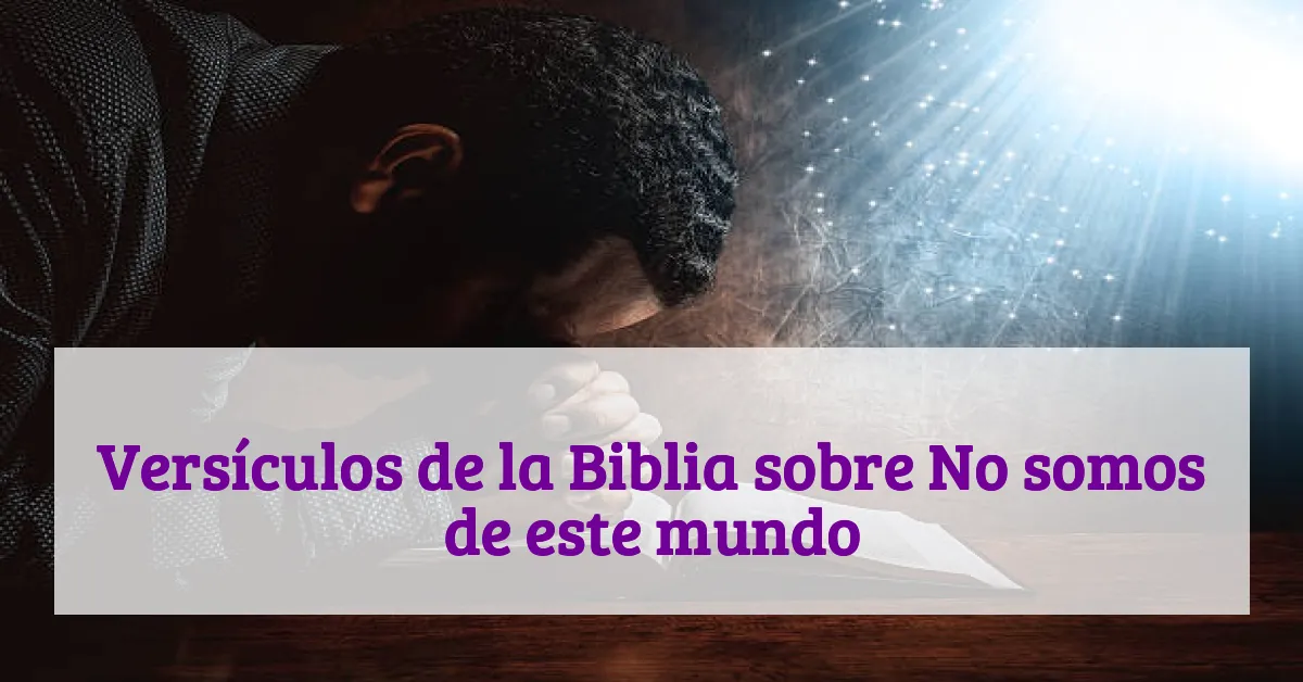 Versículos de la Biblia sobre No somos de este mundo