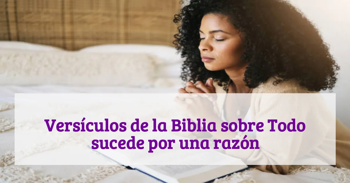 Versículos de la Biblia sobre Todo sucede por una razón