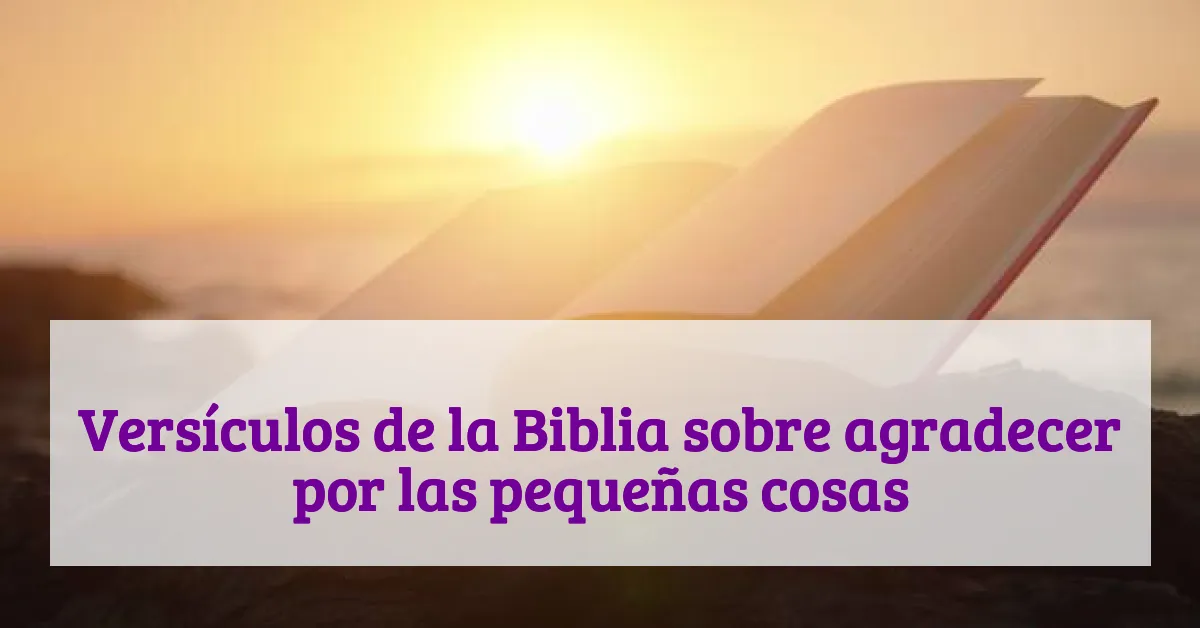 Versículos de la Biblia sobre agradecer por las pequeñas cosas