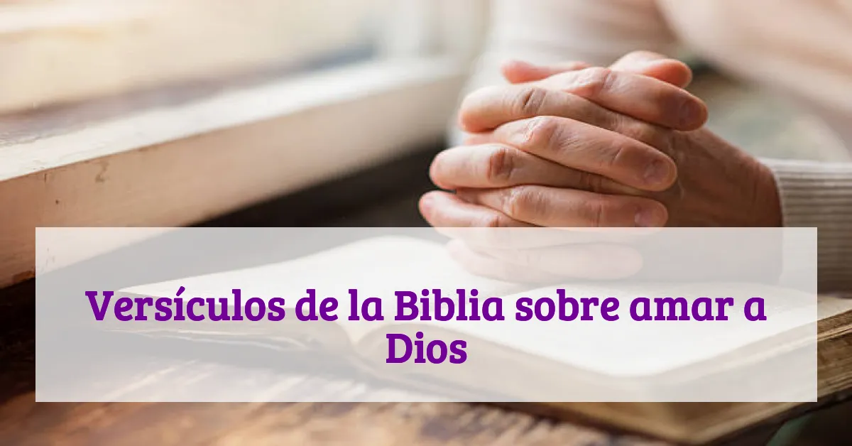 Versículos de la Biblia sobre amar a Dios