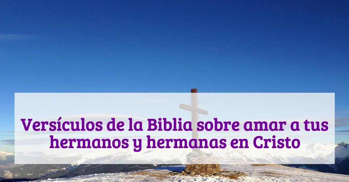 Versículos de la Biblia sobre amar a tus hermanos y hermanas en Cristo