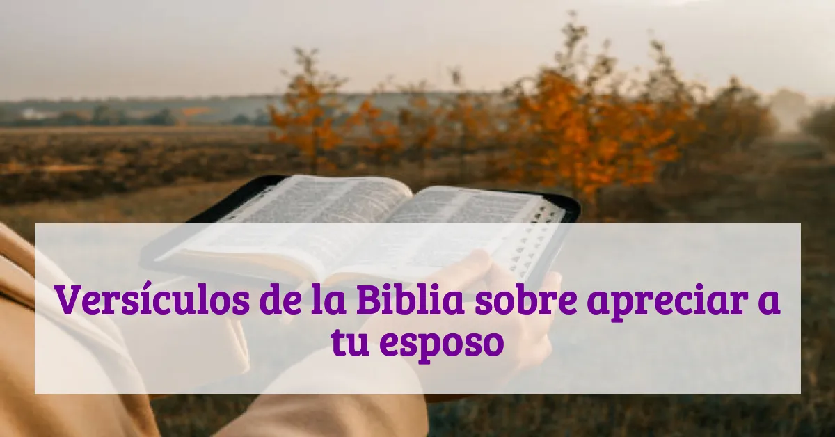 Versículos de la Biblia sobre apreciar a tu esposo