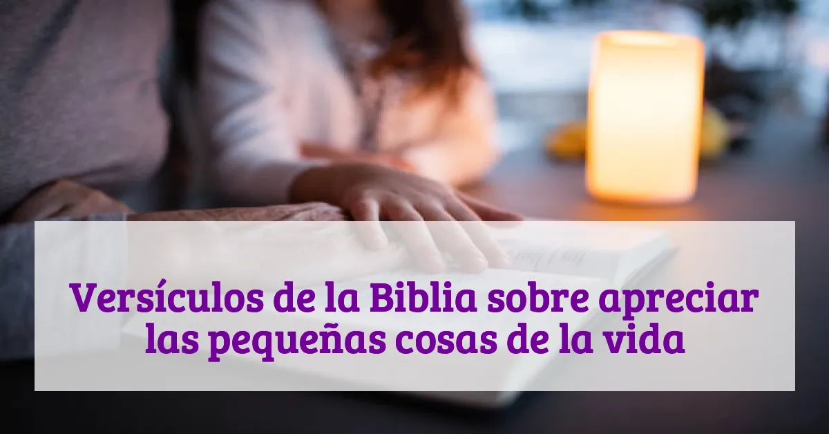 Versículos de la Biblia sobre apreciar las pequeñas cosas de la vida