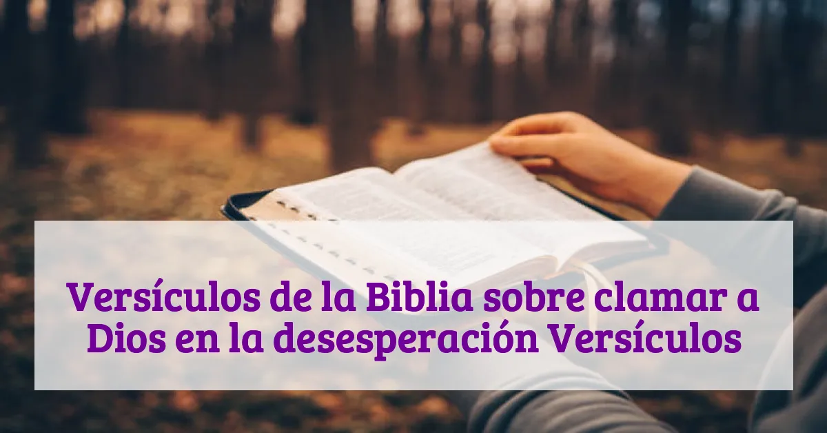 Versículos de la Biblia sobre clamar a Dios en la desesperación Versículos