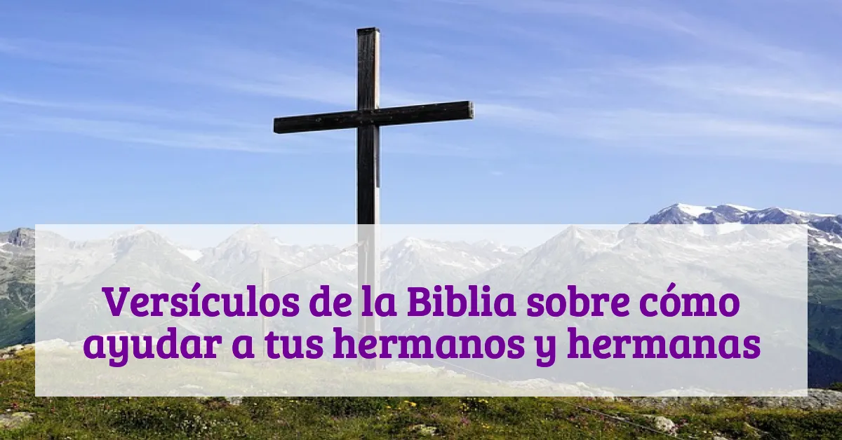 Versículos de la Biblia sobre cómo ayudar a tus hermanos y hermanas