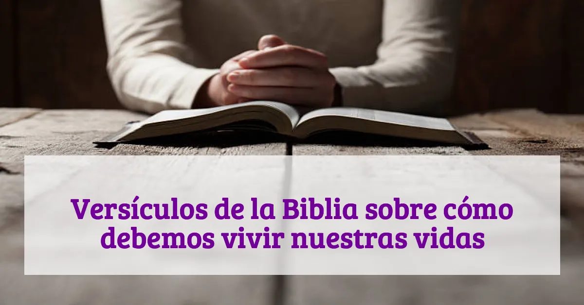 Versículos de la Biblia sobre cómo debemos vivir nuestras vidas