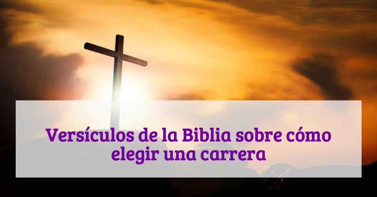 Versículos de la Biblia sobre cómo elegir una carrera