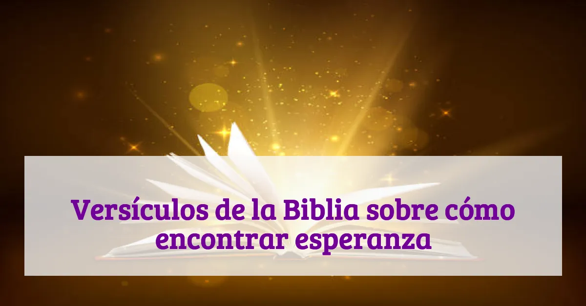 Versículos de la Biblia sobre cómo encontrar esperanza