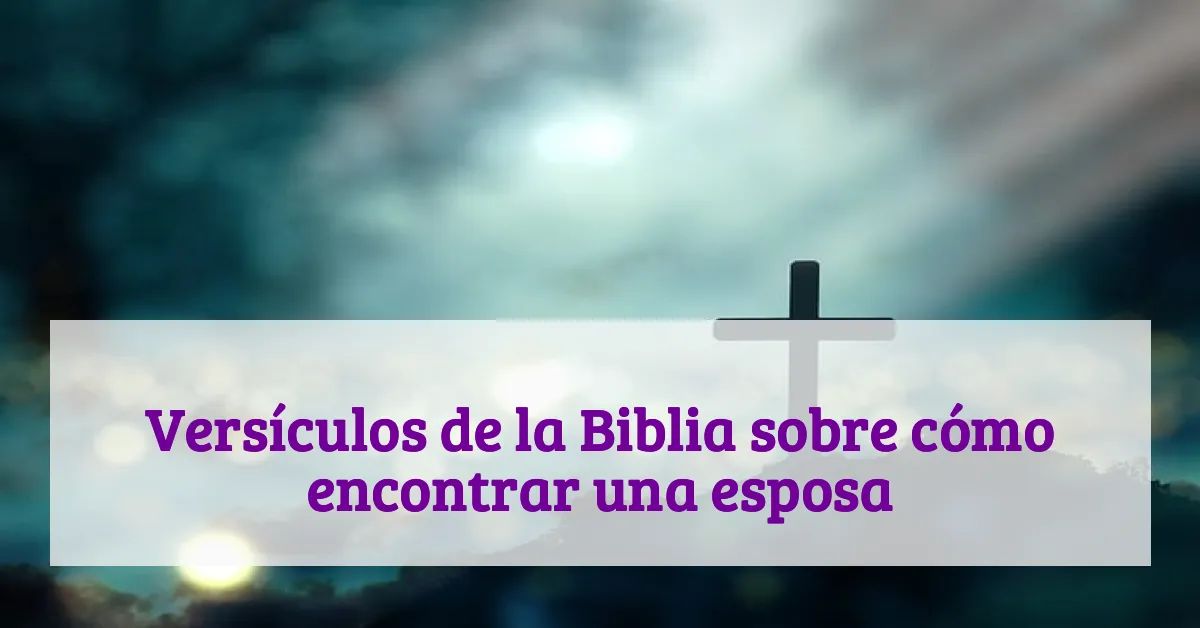 Versículos de la Biblia sobre cómo encontrar una esposa