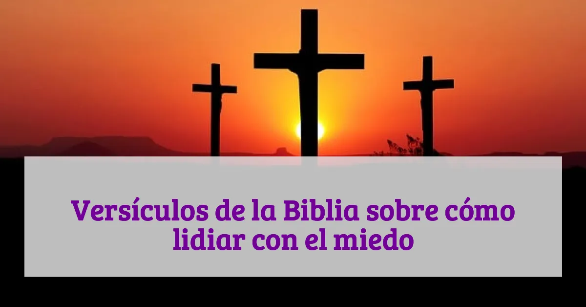 Versículos de la Biblia sobre cómo lidiar con el miedo
