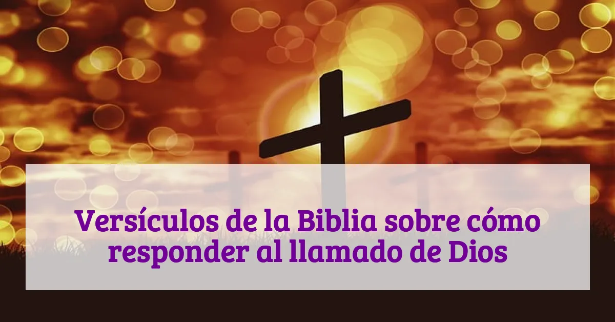 Versículos de la Biblia sobre cómo responder al llamado de Dios