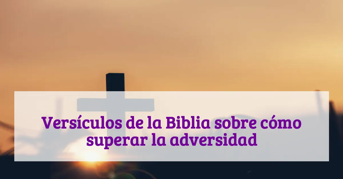 Versículos de la Biblia sobre cómo superar la adversidad