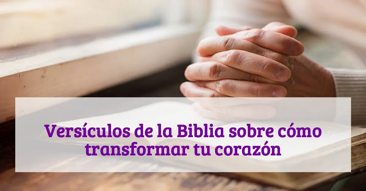 Versículos de la Biblia sobre cómo transformar tu corazón