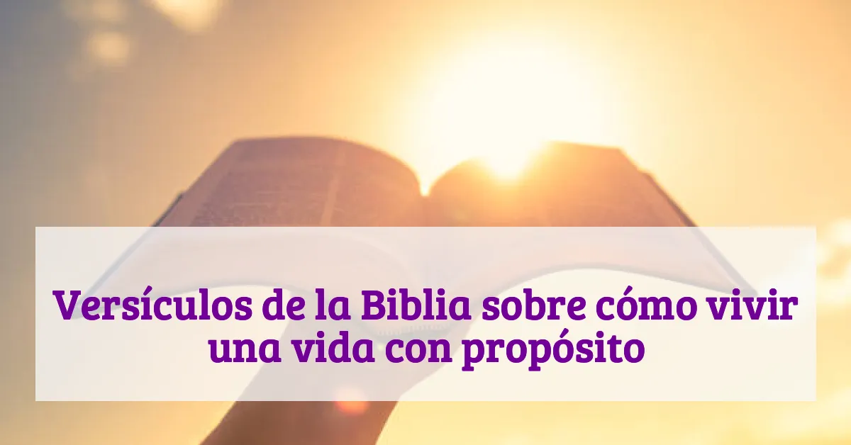 Versículos de la Biblia sobre cómo vivir una vida con propósito