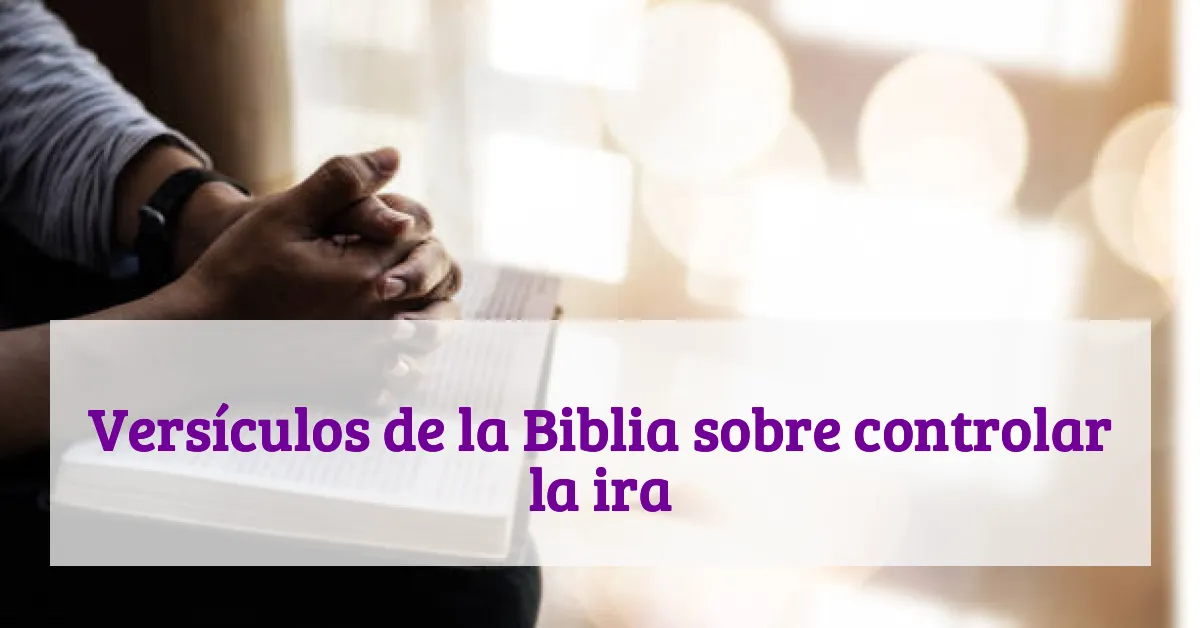 Versículos de la Biblia sobre controlar la ira