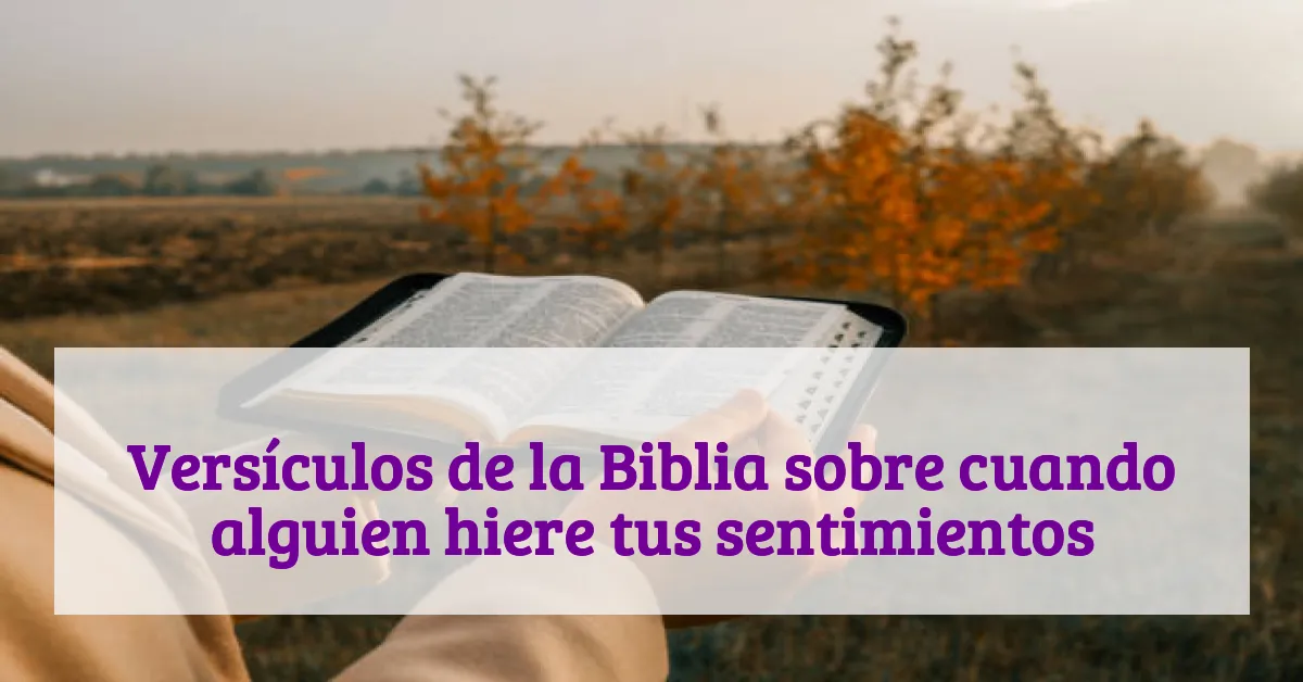Versículos de la Biblia sobre cuando alguien hiere tus sentimientos
