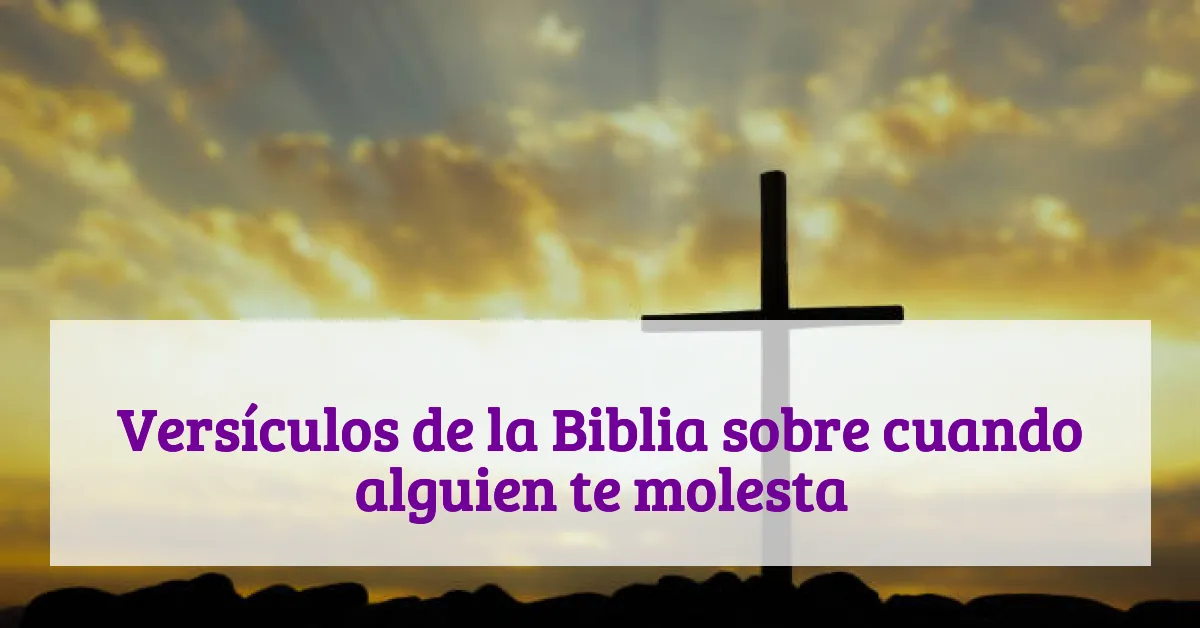 Versículos de la Biblia sobre cuando alguien te molesta