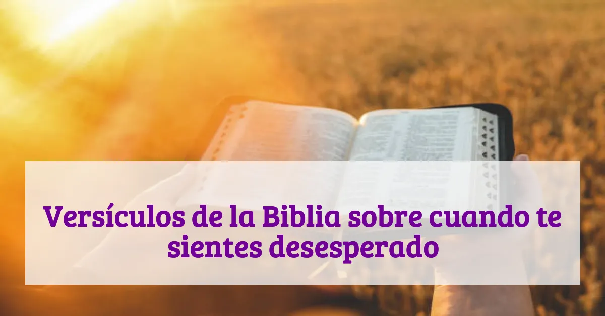 Versículos de la Biblia sobre cuando te sientes desesperado