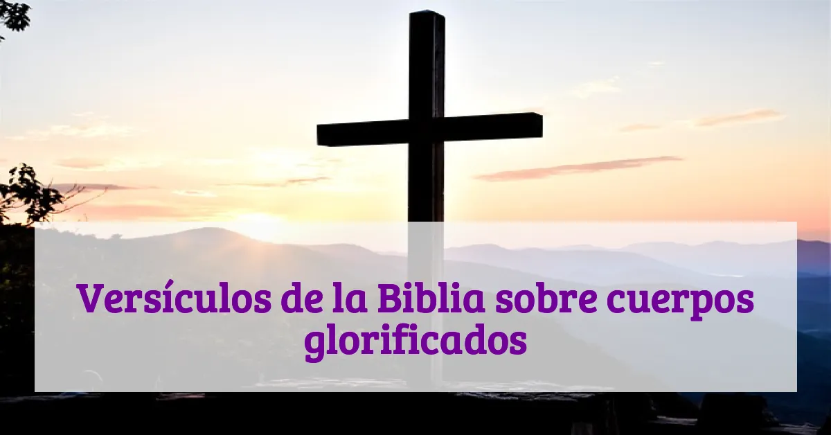 Versículos de la Biblia sobre cuerpos glorificados