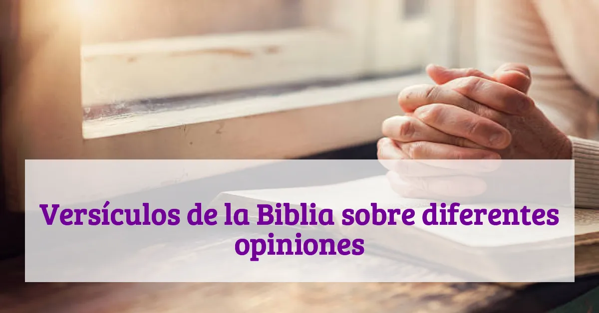 Versículos de la Biblia sobre diferentes opiniones