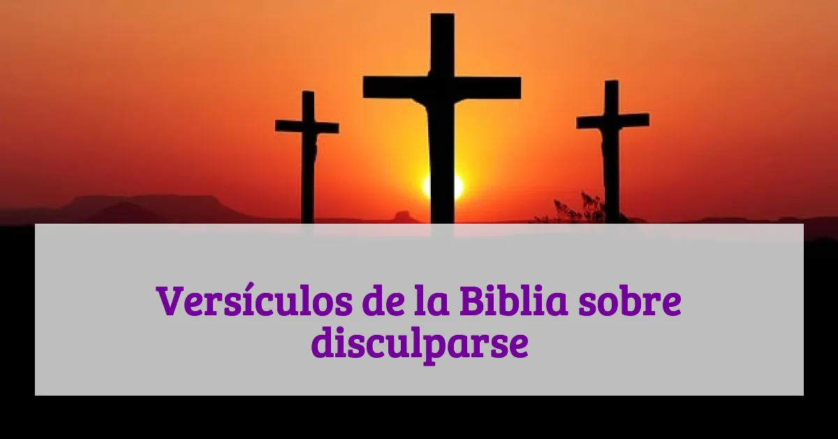 Versículos de la Biblia sobre disculparse