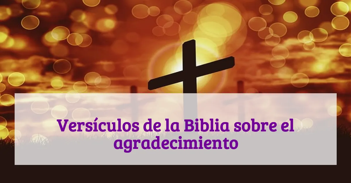Versículos de la Biblia sobre el agradecimiento