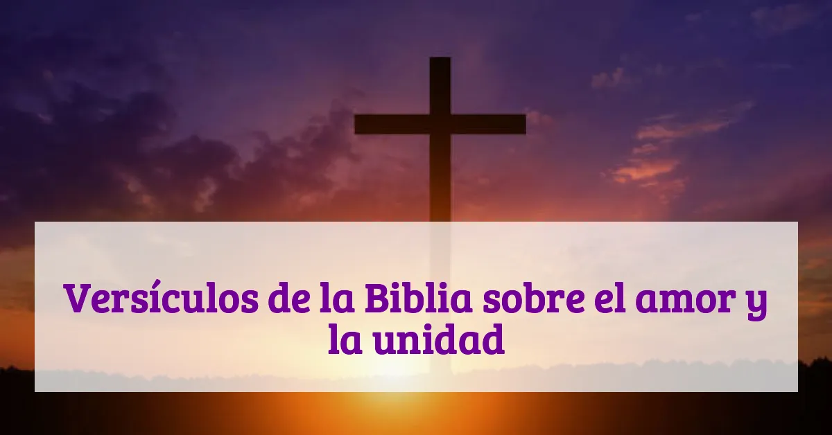 Versículos de la Biblia sobre el amor y la unidad