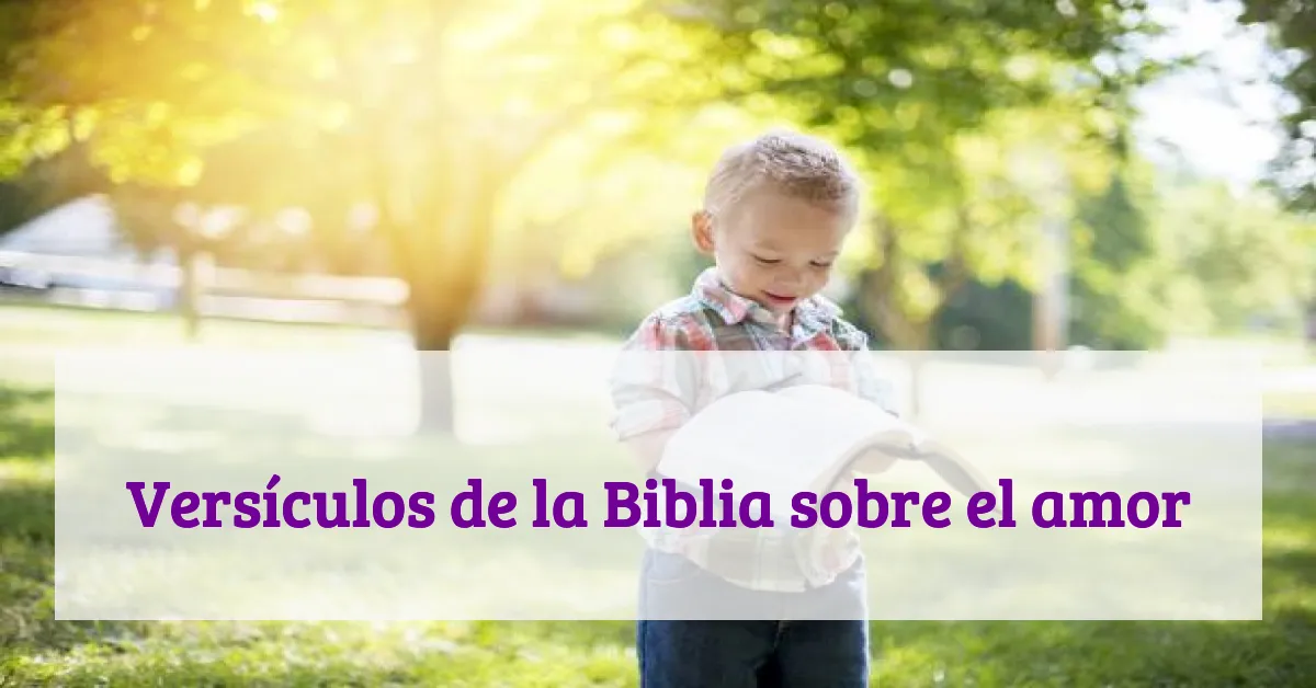 Versículos de la Biblia sobre el amor