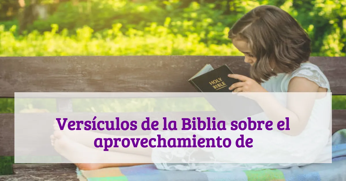 Versículos de la Biblia sobre el aprovechamiento de