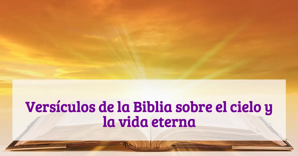 Versículos de la Biblia sobre el cielo y la vida eterna