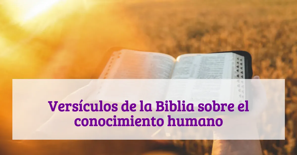 Versículos de la Biblia sobre el conocimiento humano