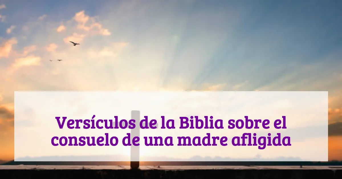 Versículos de la Biblia sobre el consuelo de una madre afligida