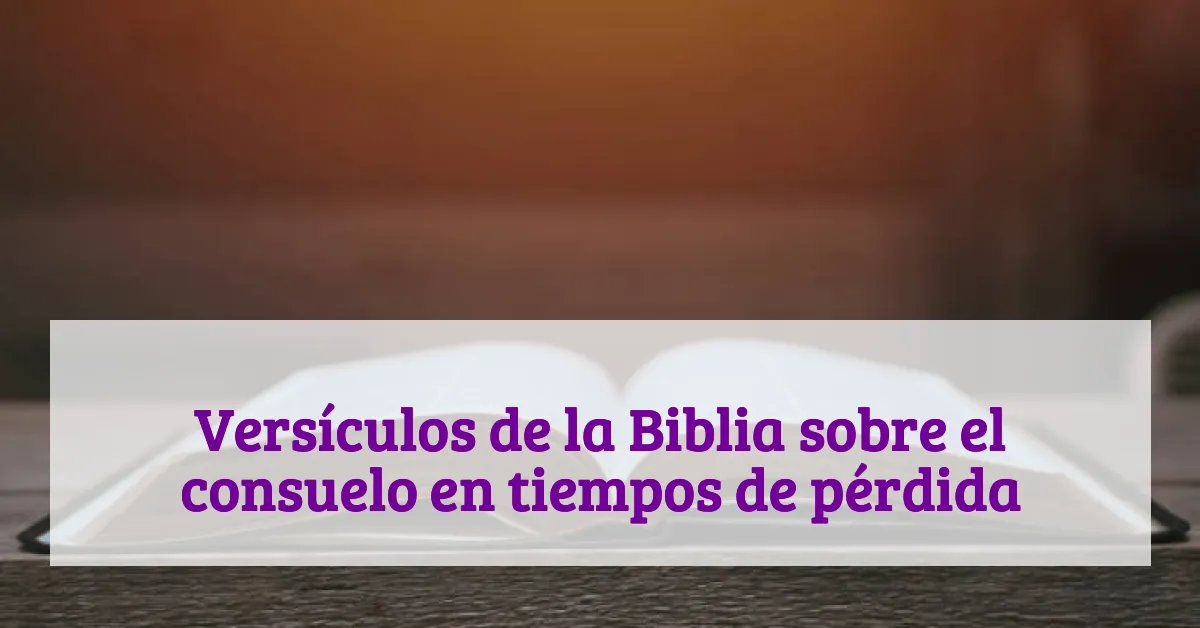 Versículos de la Biblia sobre el consuelo en tiempos de pérdida