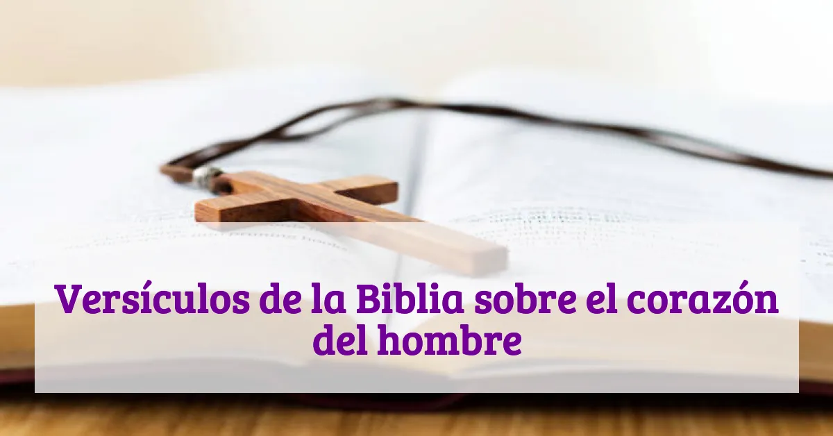 Versículos de la Biblia sobre el corazón del hombre