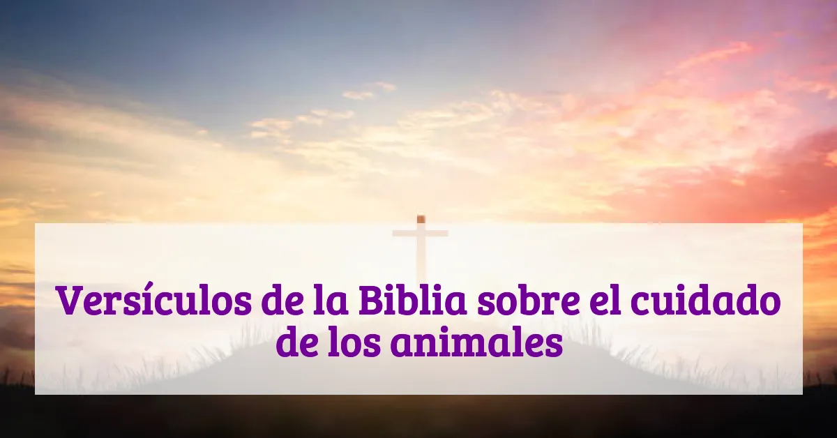 Versículos de la Biblia sobre el cuidado de los animales