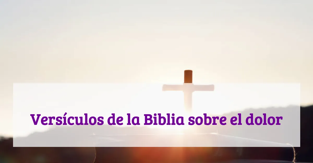 Versículos de la Biblia sobre el dolor