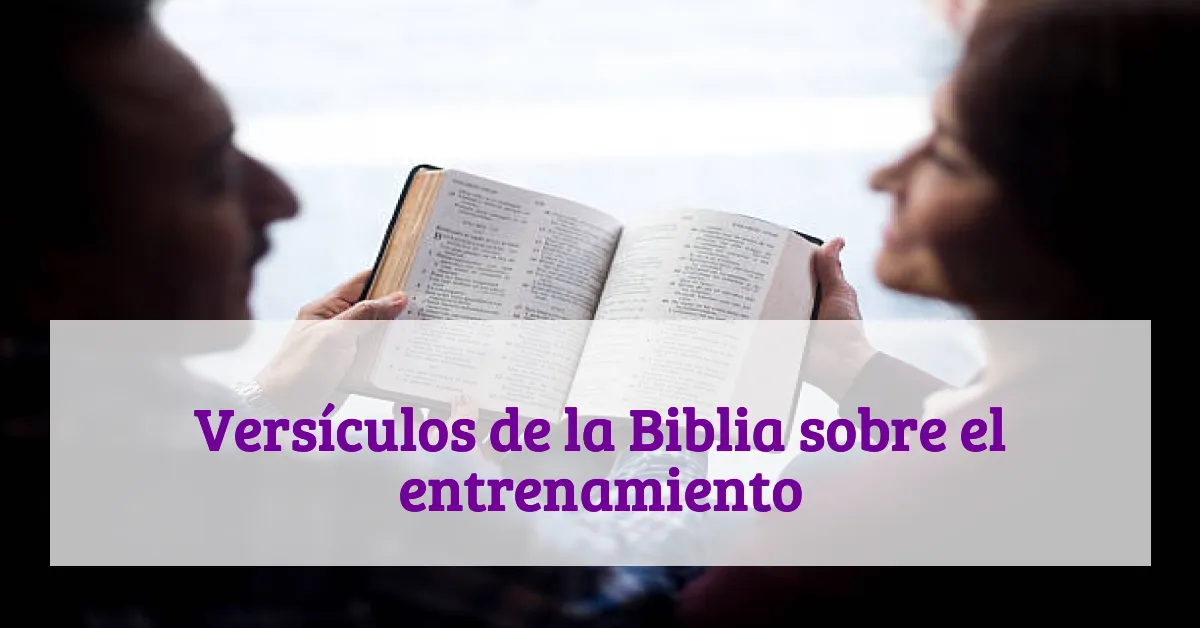 Versículos de la Biblia sobre el entrenamiento