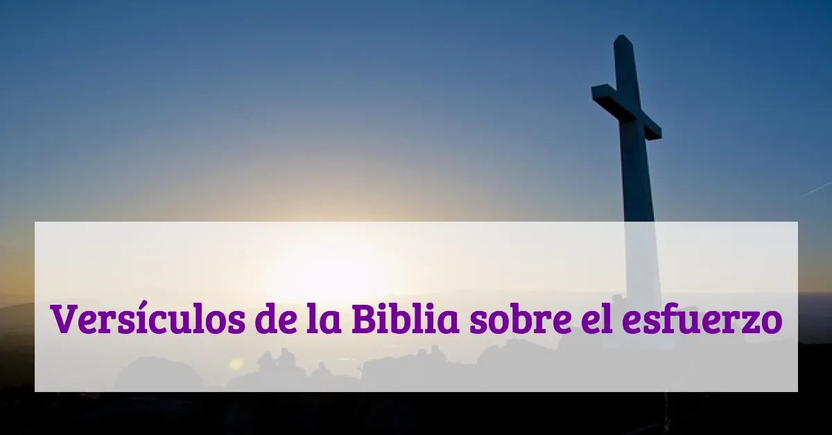 Versículos de la Biblia sobre el esfuerzo