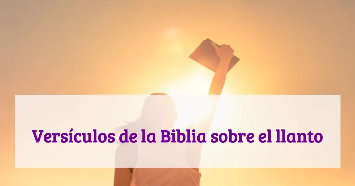 Versículos de la Biblia sobre el llanto