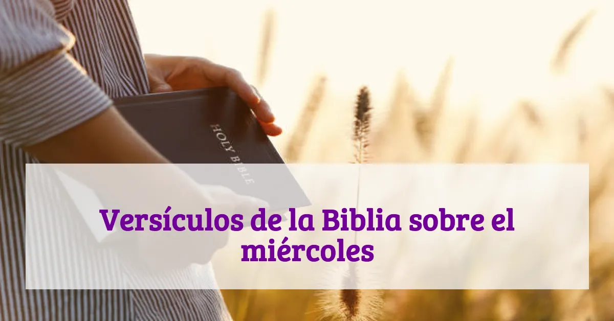 Versículos de la Biblia sobre el miércoles