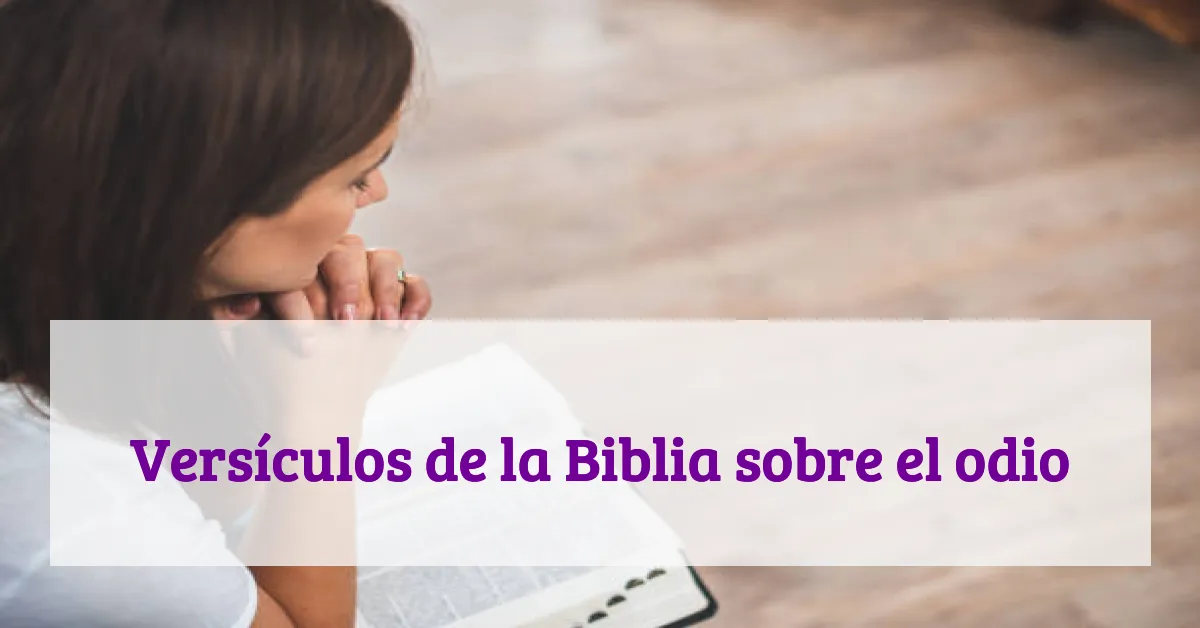 Versículos de la Biblia sobre el odio