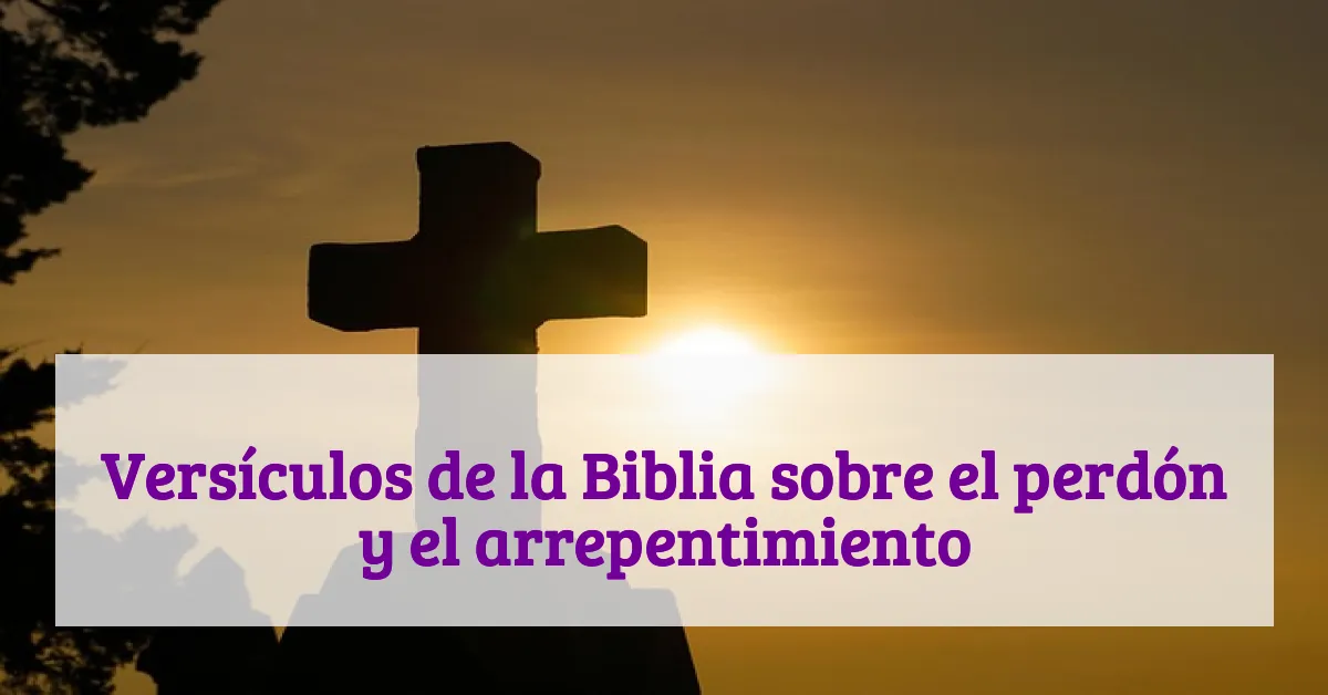 Versículos de la Biblia sobre el perdón y el arrepentimiento