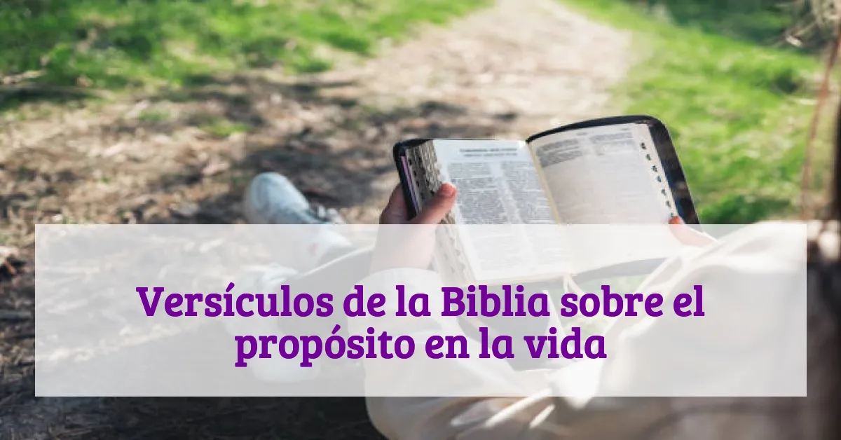 Versículos de la Biblia sobre el propósito en la vida