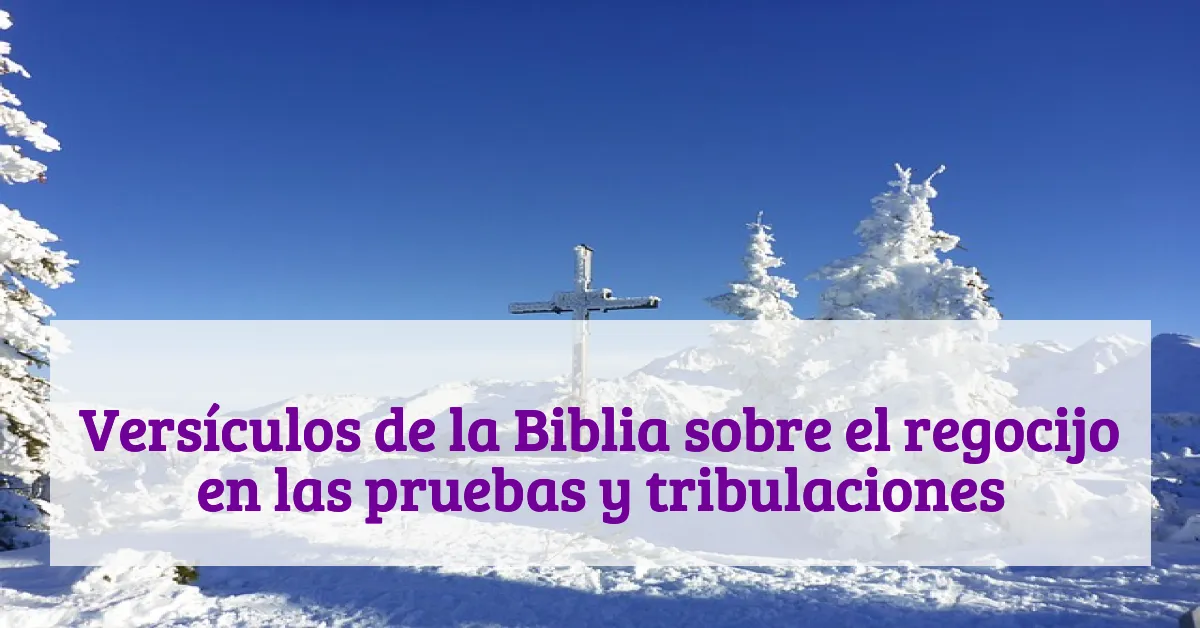 Versículos de la Biblia sobre el regocijo en las pruebas y tribulaciones